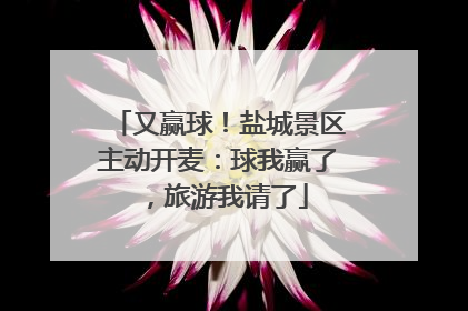 又赢球！盐城景区主动开麦：球我赢了，旅游我请了